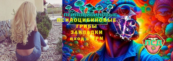 ГАЛЛЮЦИНОГЕННЫЕ ГРИБЫ Алексеевка
