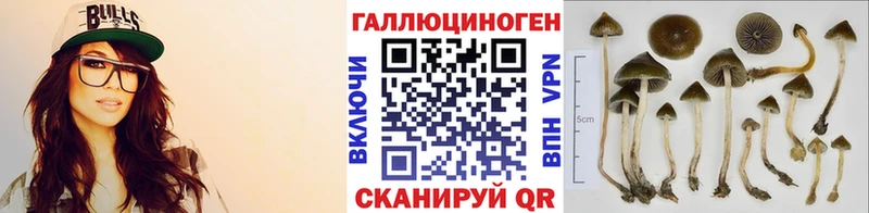 Галлюциногенные грибы Cubensis  Купить  Дзержинск 